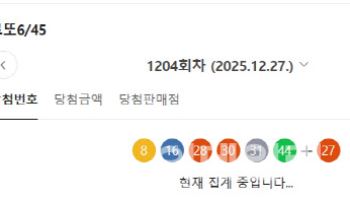  로또 1204회 당첨번호 '8,16,28,30,31,44’'...보너스 '27'