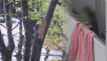 아파트 12층서 추락…빨래 널던 40대 사망