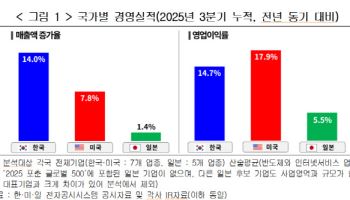 "반도체 등 주요 업종 성장성·안정성 한국이 가장 높아"