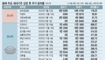 공모주 시장 활기…네 곳 중 한 곳은 ‘따블’[2025 IPO결산]