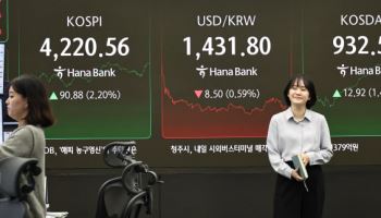 대어급 사라진 IPO 시장…내년엔 '큰장' 선다[2025 IPO결산]