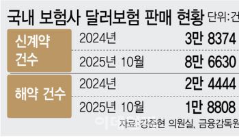 고환율에 달러보험 가입 급증…10개월 만에 작년의 2배