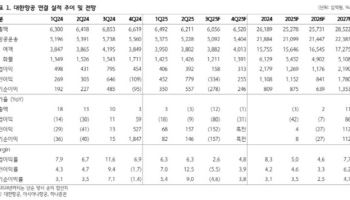 환율 하락 땐 항공주가 뜬다…대한항공 ‘매수’-하나