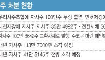 3차 상법개정안 시행전에 서두르자…中企 '자사주 정리' 속도전