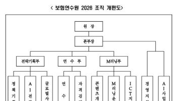 보험연수원, 글로벌 확장·AI 자회사 추진 방점 조직개편