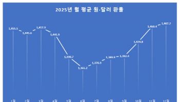 환율 급락에도 웃지 못한 12월…월평균 ‘올해 최고’