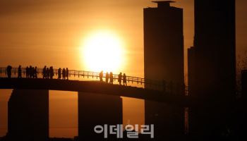 해맞이 차량에 고속도로 혼잡..서울 방향 오후 정체 최대