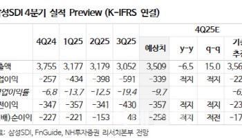 삼성SDI, 올해도 적자 불가피…2027년 흑자전환 전망-NH