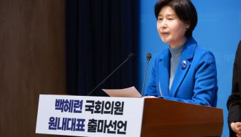 백혜련, 與 원대 출사표…“당내 비위 무관용 원칙, 공천도 적용”