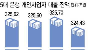 꽁꽁 얼어붙은 자영업자 대출…올해 전망도 ‘암울’