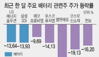 배터리 울상에 이차전지주도 비상…주가 반등 여력 있나