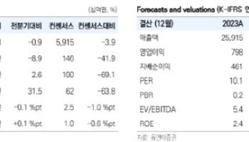현대제철, 판재·봉형강 판매량 전망↓…투자의견·목표주가는 유지-유안타