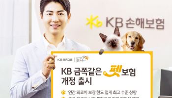 KB손보, 의료비 보장 확대한 'KB 금쪽같은 펫보험' 개정 출시