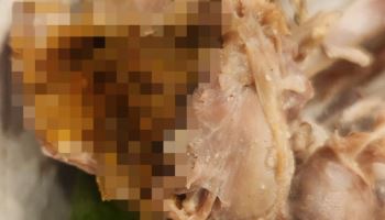 '닭X 가득 삼계탕'...식당 측 "우리도 사장 연락 안 돼" 황당