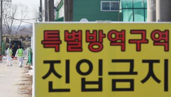 익산 가금농장서 전국 32번째 고병원성 AI 확인