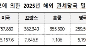 관세청 "해외 현지서 '밀수 담배' 516만갑 적발"…사상 최대
