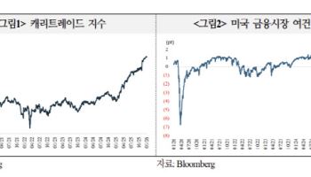 국금센터 “올해도 달러 캐리 트레이드 투자 수요 이어질 것”