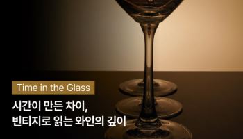 아영FBC, 테마로 즐기는 글라스 와인 라인업 공개
