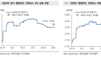 네이버, 두나무 시너지에 쿠팡 반사이익…목표가 45% 상향-메리츠