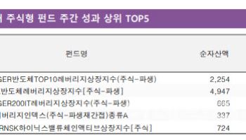 삼성전자·SK하이닉스 신고가에 ‘반도체 ETF’도 날았다[펀드와치]