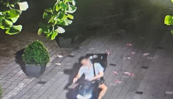 경찰, 5개월간 불법전단지 집중단속하자…강남서 38% 줄어