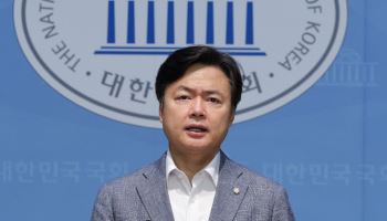 與 “국힘 댓글국적표기·외인투표제한 주장, 극우논리로 현실도피”