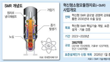 베일 벗는 '한국형 SMR'···이달말 표준설계인가 신청