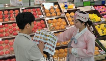 5만원 한 장이면 충분…롯데마트, 설 선물 ‘가성비 승부'