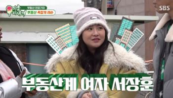조현아, 부동산 대박났네…"우연히 샀는데 10배 올라"