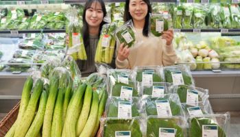 한파 속 채소값 상승에…롯데마트, 스마트팜 오이·깻잎 판매