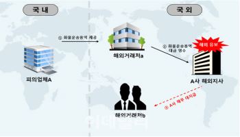 정부, 달러 해외 빼돌린 기업 전방위 조사한다