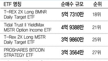 국내 가상자산ETF 공백에 해외로 눈돌린 개미들…지난해 3.5조 나갔다
