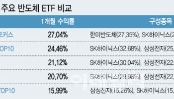 삼성전자·SK하이닉스 쏠림에…반도체 ETF 수익률 ‘희비’