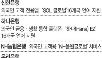 "260만 외국인 잡아라"…금융권, 송금부터 PB까지 차별화서비스