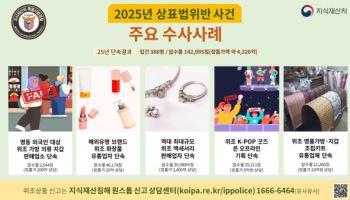작년 정가 4300여억 상당 위조상품 단속…388명 형사입건