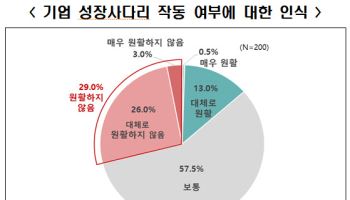 끊어진 성장사다리…중견기업 35% "더 세진 규제 체감"