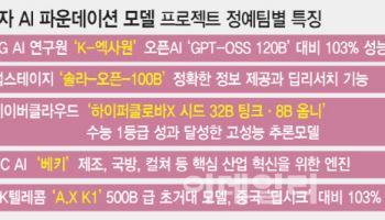 "네이버·NC 탈락" 국가대표 AI, 1개 정예팀 추가 선정