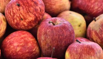 탄산음료보다 달다?…한국인 당 섭취, 의외의 1위