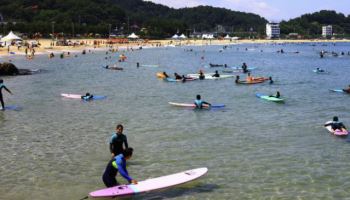 "카더라"에 몸살 양양...대통령에 '대형 대자보' 띄워
