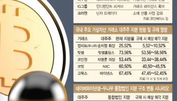 대주주 지분 15% 제한 땐 투자·혁신 동력 상실…'네나무' 결합 부담 커져[only이데일리]