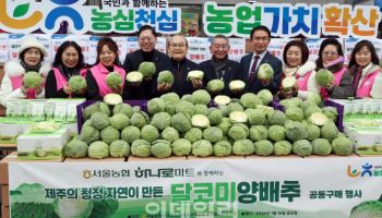  서울농협, 제주 달코미 양배추 공동구매