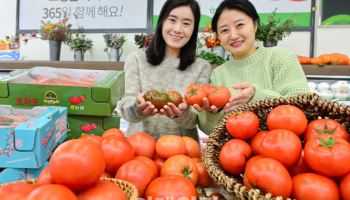 [포토] 농협유통, 겨울철 면역 강화 '토마토' 판매