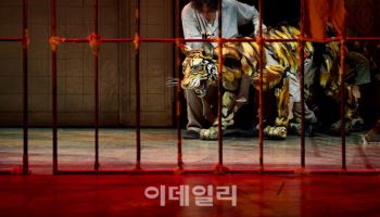 장르 경계 넘으니 더 흥미진진…공연계 '하이브리드' 열풍