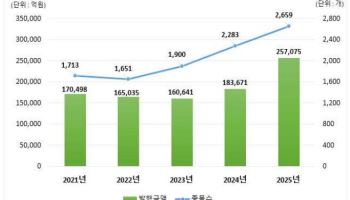 지난해 DLS 발행 25.7조원…전년比 40%↑