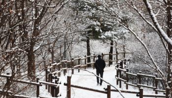 1주만에 20도 가까이 뚝…오락가락 겨울 왜 그럴까