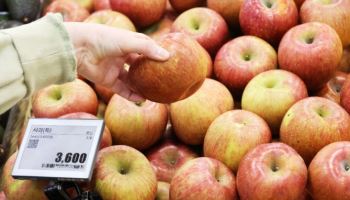 생산자물가 넉 달째↑…반도체·농산물에 0.4% 상승
