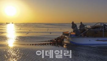 세계인 입맛 사로잡은 ‘충남 김’, 역대 최대 수출 견인