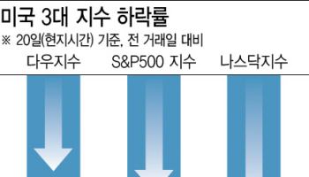 관세왕 트럼프의 그린란드 야욕에 재점화된 '셀 아메리카'