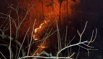김인호 산림청장 “전남 곡성 산불 조기진화에 총력 대응”