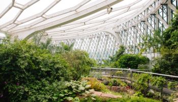 서울식물원, 국가 희귀·특산식물 보전기관 지정..."보전 연구 강화"